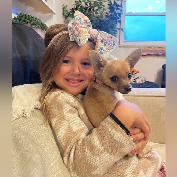 Sweater - Picture 3 of 4